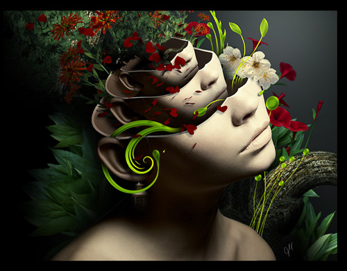 Inspiration: Human Body and Nature