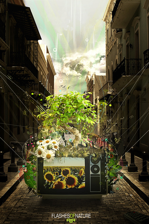 Inspiration: Human Body and Nature