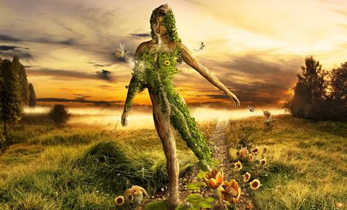 Inspiration: Human Body and Nature