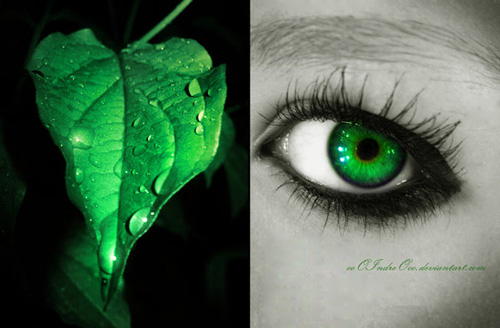 Inspiration: Human Body and Nature