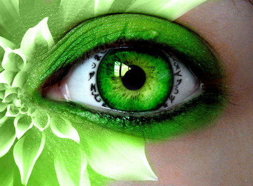 Inspiration: Human Body and Nature