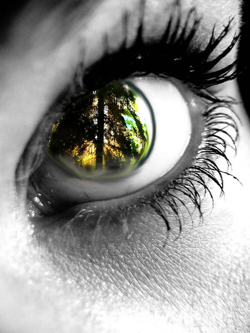 Inspiration: Human Body and Nature