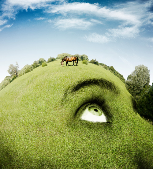 Inspiration: Human Body and Nature