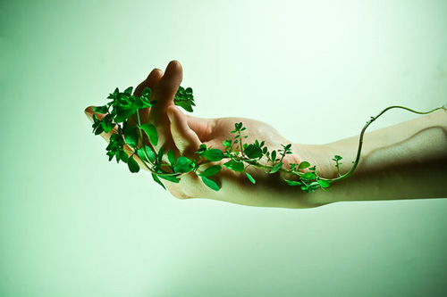 Inspiration: Human Body and Nature