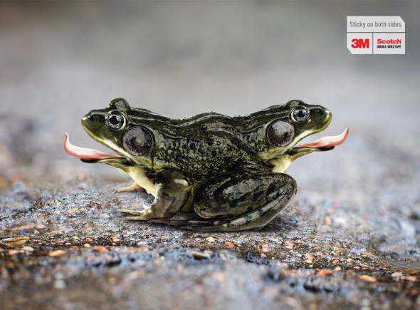 Creative Photo Manipulations Ads