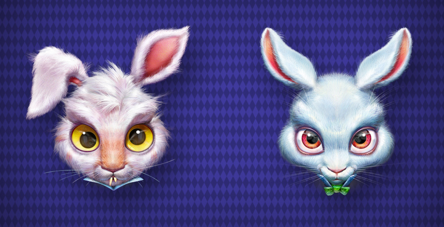 Rabbit