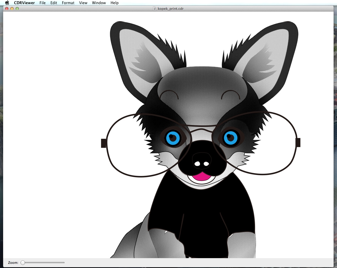 CorelDRAW Viewer and converter