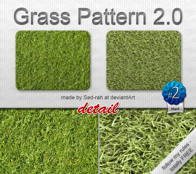 Grass Pattern