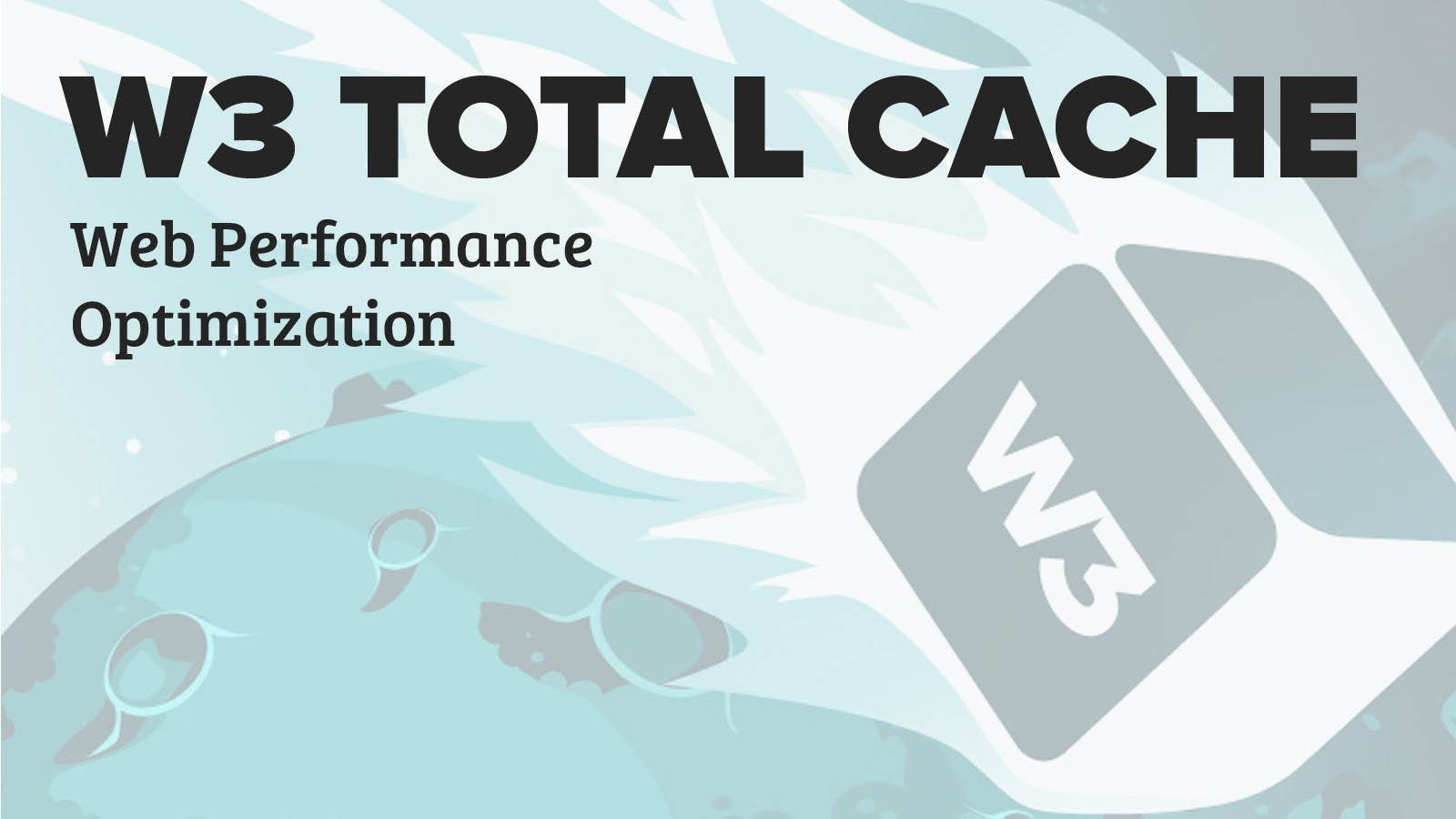 1. W3 Total Cache