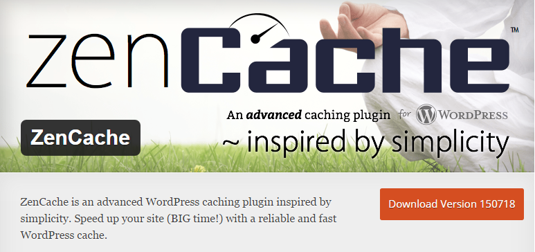 5. Zen Cache