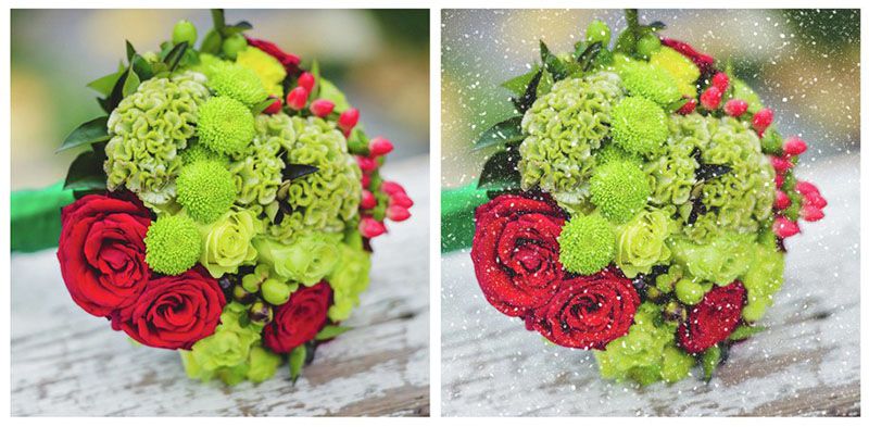 Wedding Album Design Software