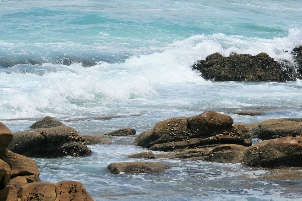surf-on-rocks-240780_960_720 (1).jpg