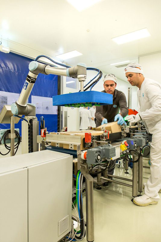 The Anatomy of the Industrial Robotic Arm